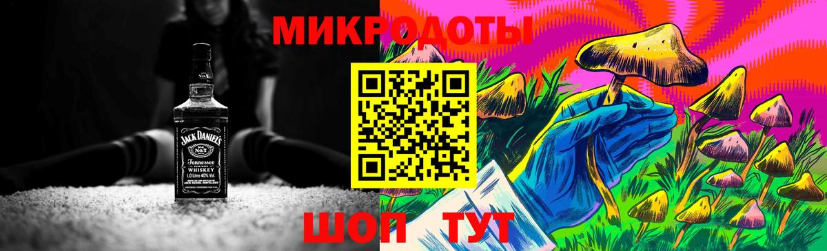 Псилоцибиновые грибы Psilocybine cubensis Звенигород